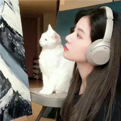 都市炼气九千层